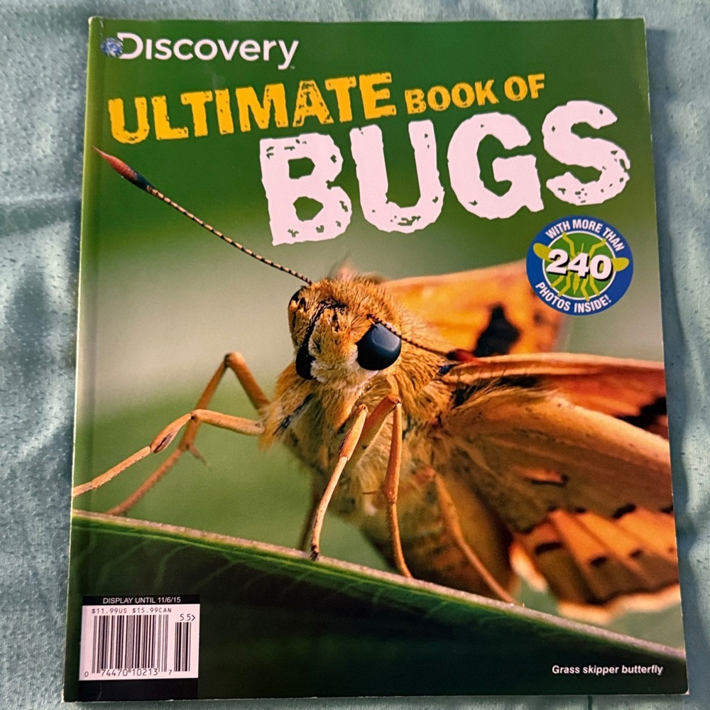 Discovery Vibrant Bug Exploration Book